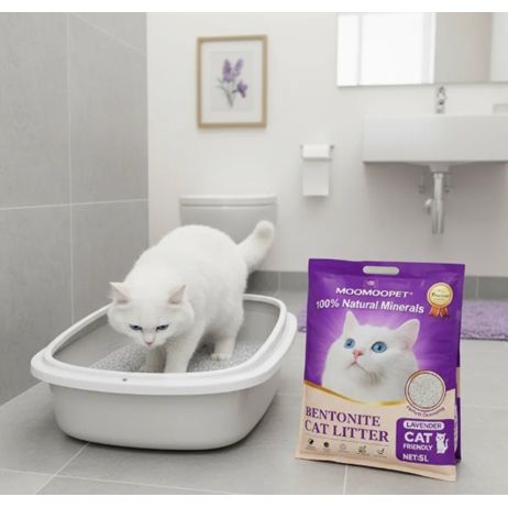 Arena para gato Moomoopet 8kg